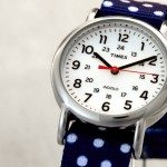 Timex Reversible Weekender 03